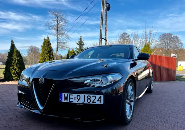 alfa romeo giulia warszawa Alfa Romeo Giulia cena 84500 przebieg: 74500, rok produkcji 2017 z Warszawa